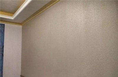 装修完不通风就能入住,正典集成墙面真的可以?